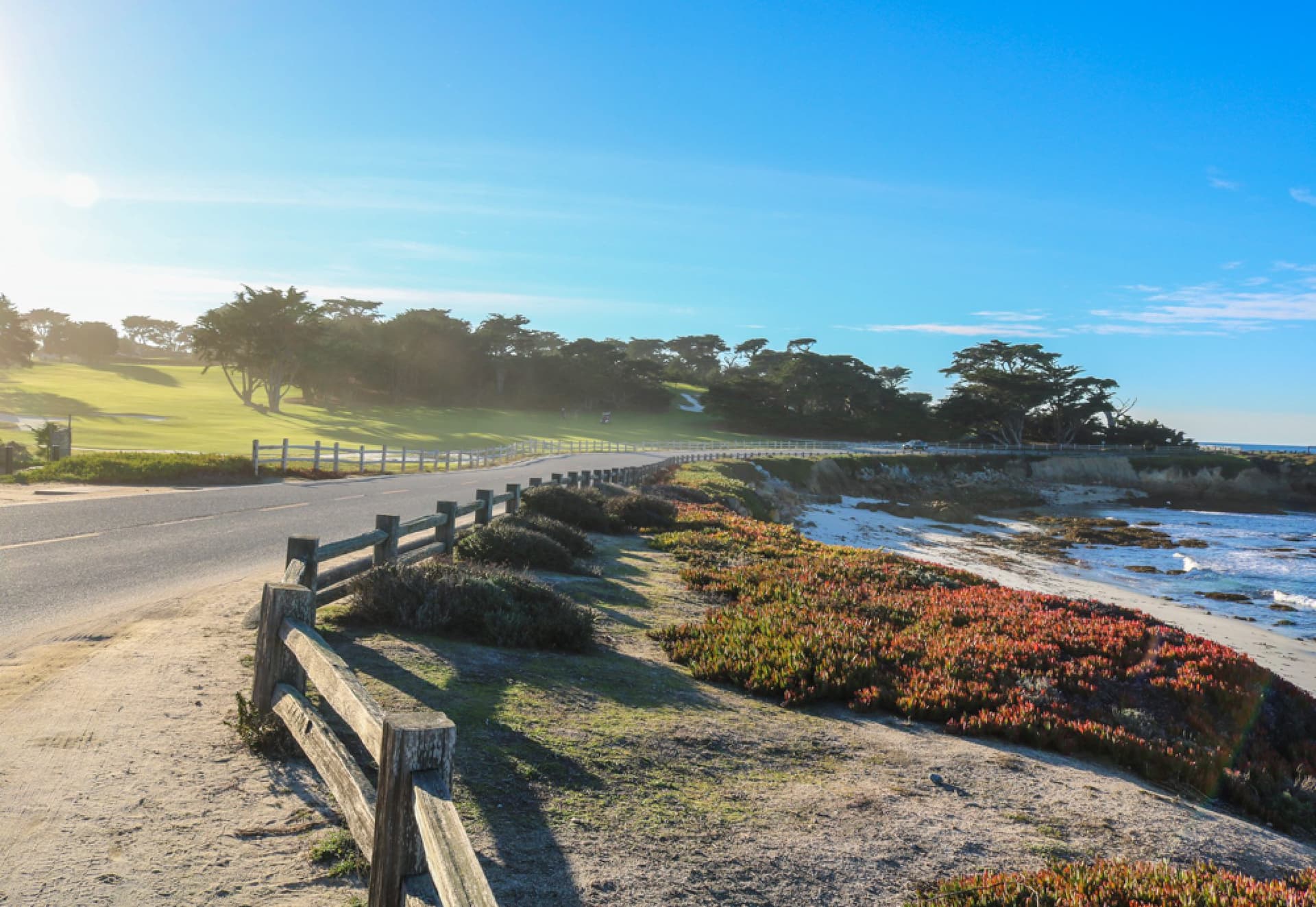 Lone Cypress tree on 17-Mile Drive, Pebble Beach