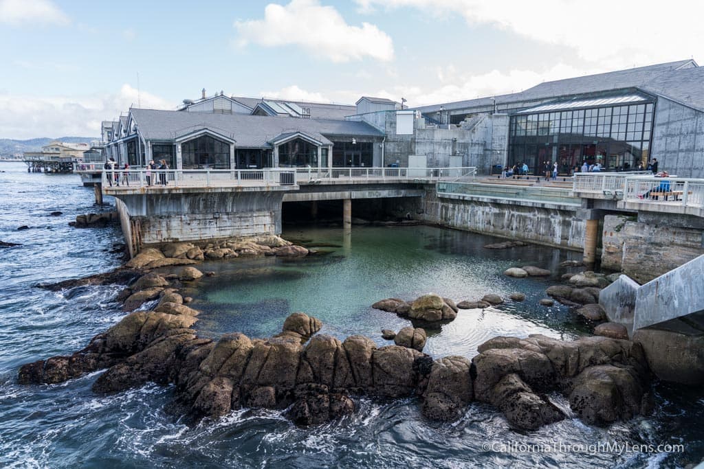 Monterey Bay Aquarium exterior overlooking the Pacific Ocean